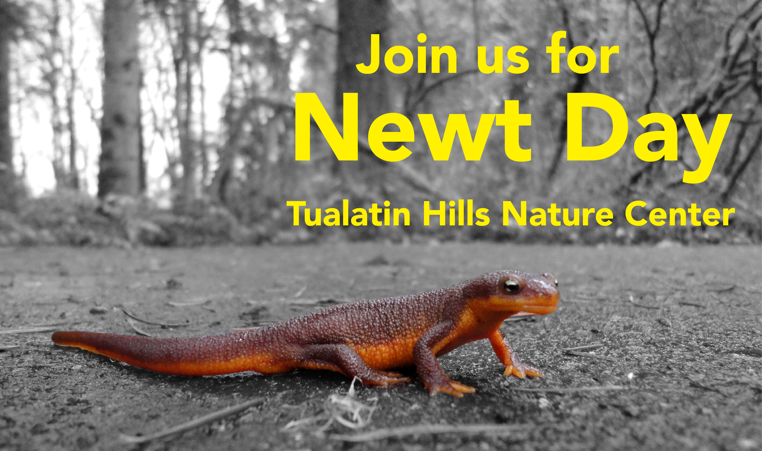 Join us for Newt Day  - November 8, 2025