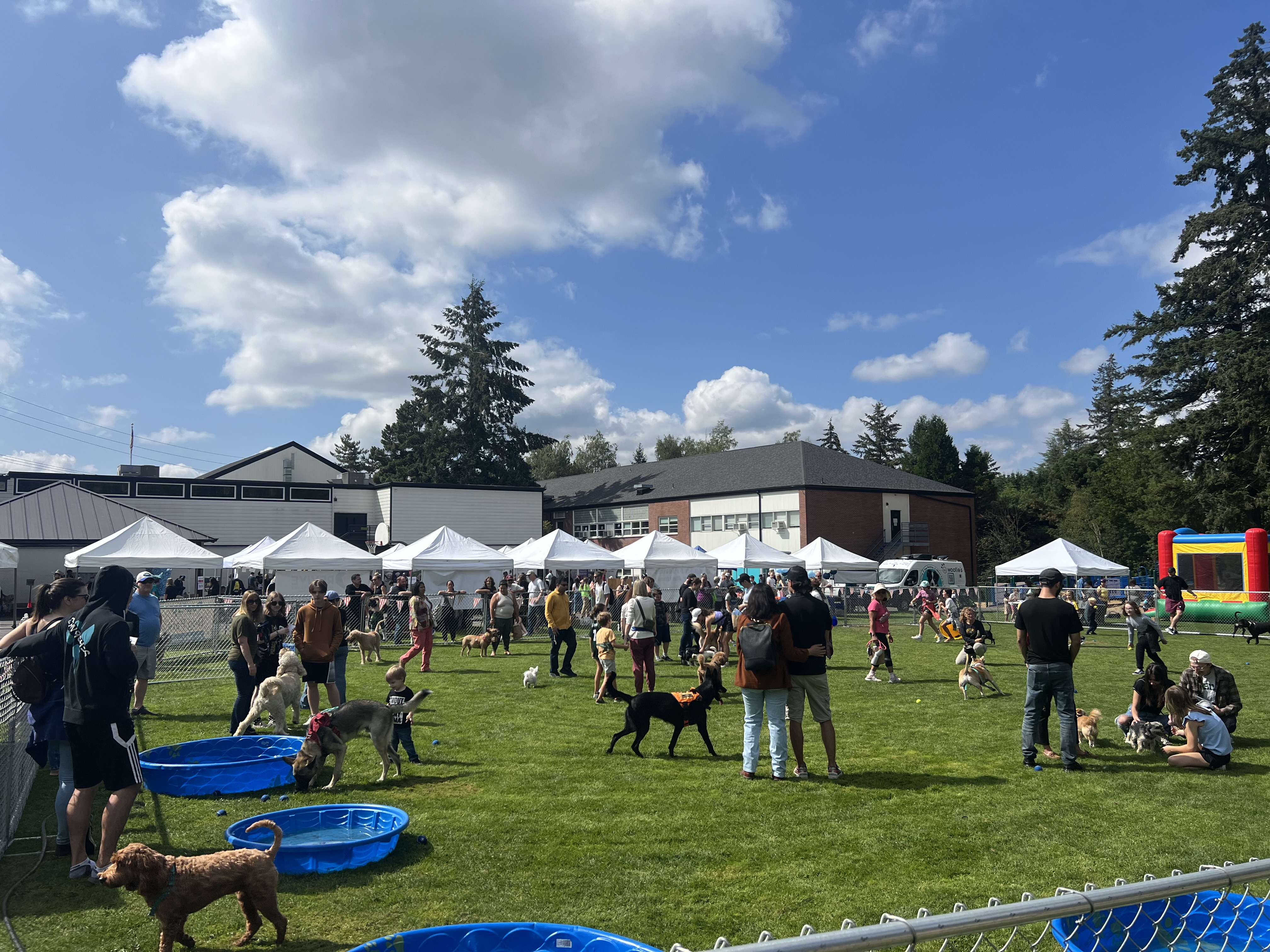 Canine Community Carnival