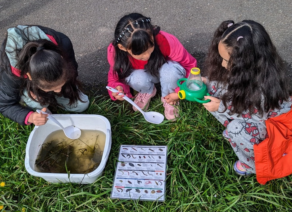 Every week Nature Mobile has a new and exciting theme to explore with a variety of activities to enjoy!