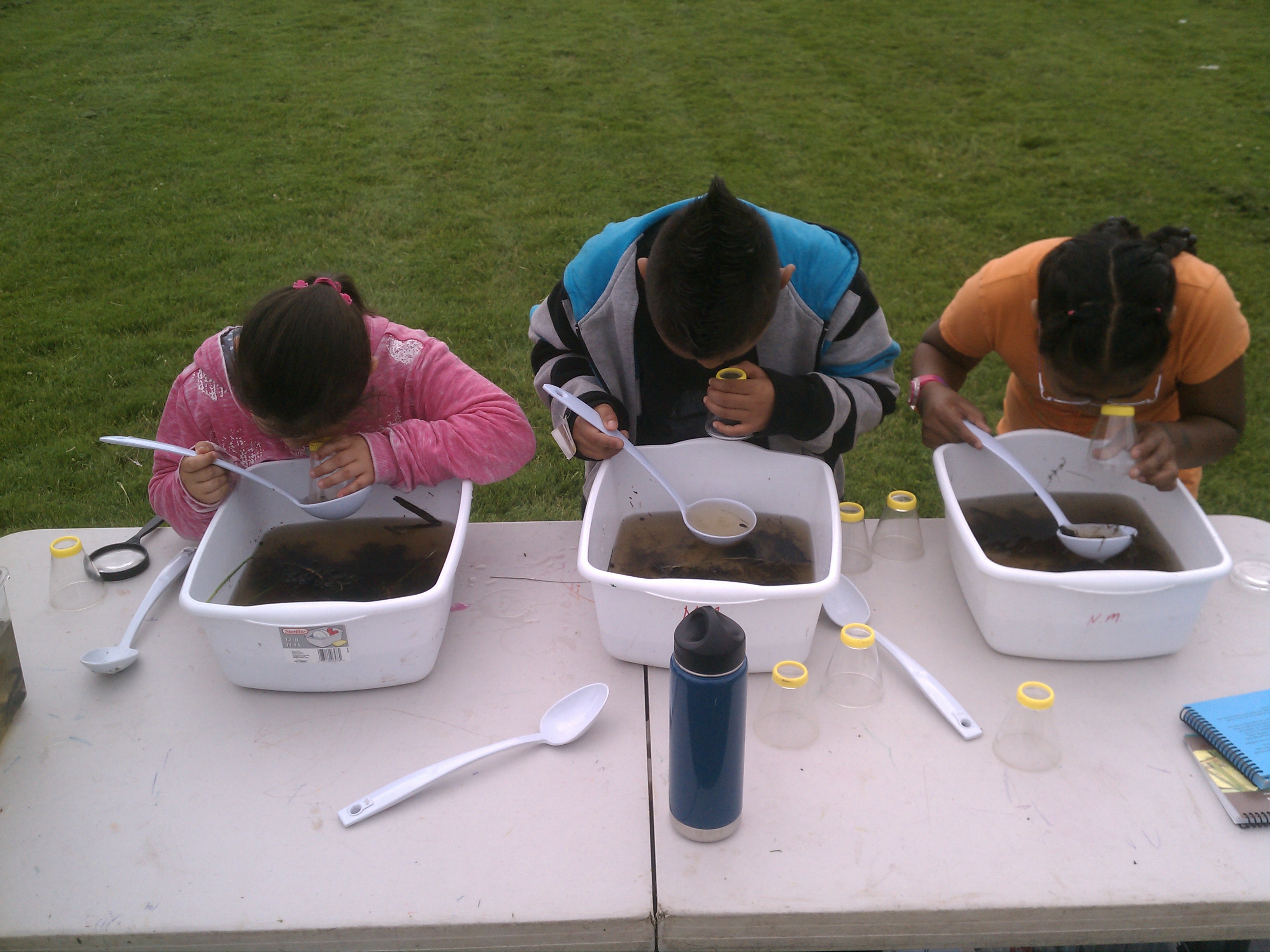 Nature science stations create fun and interactive learning opportunities at your event!