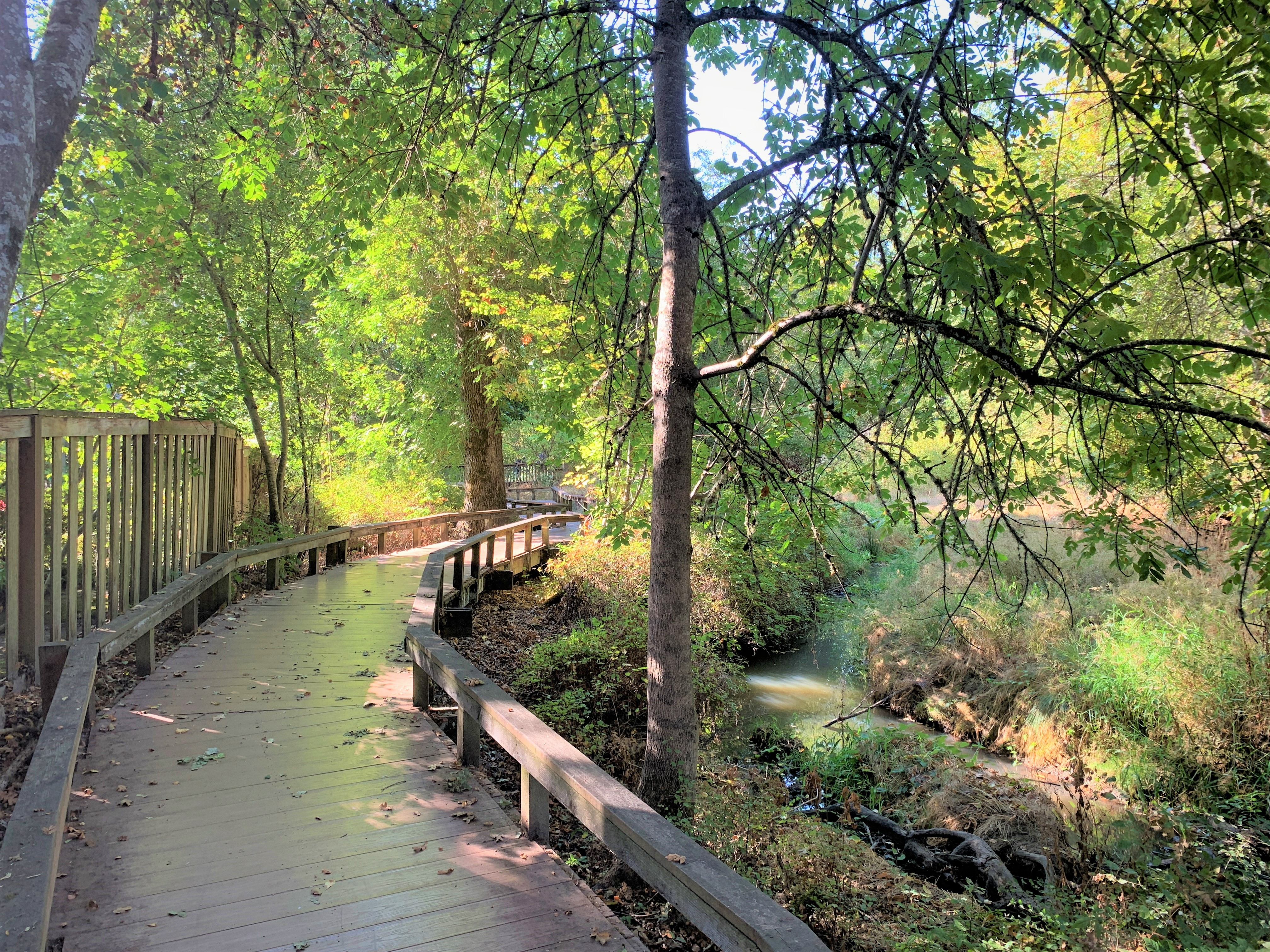 THPRD Planning to Replace Boardwalk at Willow Creek Greenway