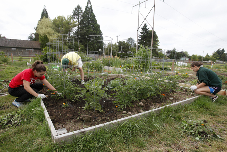THPRD provides gardening opportunities at 17 sites within the district. For more information, call 503-629-6300.
